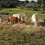 Εξοχικό σπίτι Monte Pino *