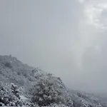 Monte Pino * Telti