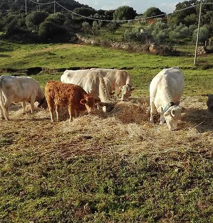 בית כפרי Monte Pino *