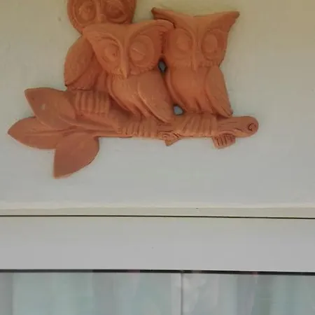 Monte Pino בית כפרי