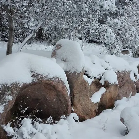 Monte Pino * Telti