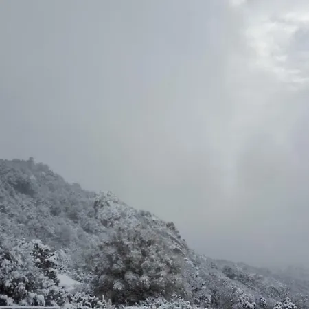Monte Pino * Telti