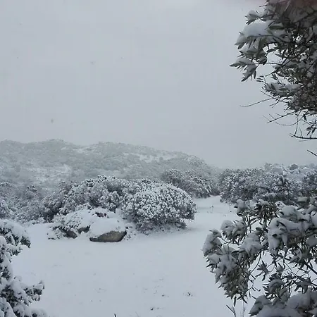 Monte Pino בית כפרי Telti