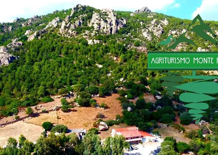 Gospodarstwo wiejskie Monte Pino Telti