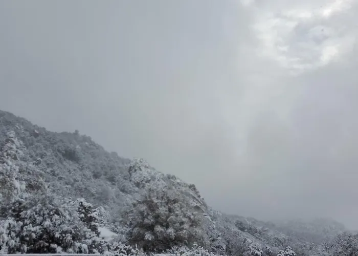 Monte Pino * Telti
