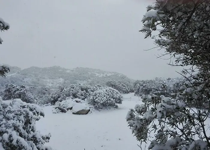 Monte Pino Gospodarstwo wiejskie Telti